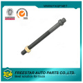 Truck Fastener Phosphat Bolzen und Mutter